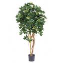 Kunstplant Schefflera arboricola L