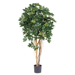 Kunstplant Schefflera arboricola L