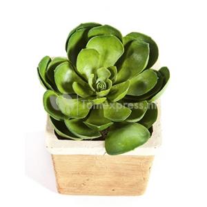 Kunstplant Succulent M