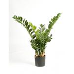 Kunstplant Zamioculcas Smaragd M