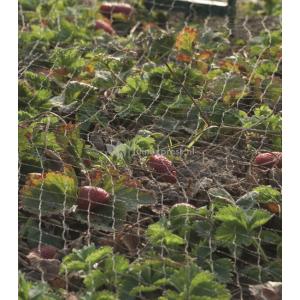 Tuinnet grofmazig 10 x 4 meter