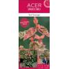 Japanse esdoorn (Acer conspicuum "Red Flamingo") heester