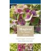 Hydrangea Macrophylla "Magical Amethyst Roze"® boerenhortensia