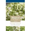 Hydrangea Macrophylla "Magical Noblesse"® boerenhortensia