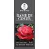 Rozen op stam Dame de Coeur