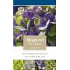 Hydrangea Macrophylla "Magical Amethyst Blauw"® boerenhortensia