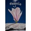 Magnolia Betty