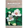 Magnolia Sieboldii