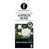 Bodembedekkende rozen Aspirin Rose