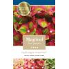 Hydrangea Macrophylla "Magical Greenfire"® boerenhortensia