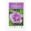 Hibiscus struik Ardens