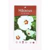 Hibiscus struik Red Heart