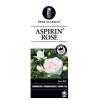 Rozen op stam Aspirin Rose