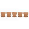 Terracotta bloempotten 30 cm met schotel penta set