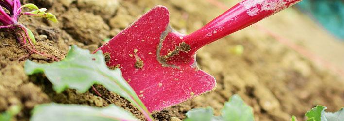 Tuinonderhoud - Mest en potgrond