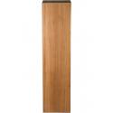 Plantenzuil Teakhout L 38x38x150 cm
