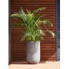 Hoge pot Ridged Horizontal Cody High L Cement 42x70 cm hoge ronde bloempot