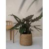 Bohemian Cody XS Straw Grass ronde Rotan bloempot voor binnen 17x15 cm