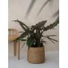 Bohemian Patt XL Straw Grass ronde Rotan bloempot voor binnen 49x41 cm