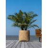 Bohemian Zayn S Bamboo ronde beige plantenbak 48x53cm voor binnen en buiten