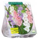 Baltus Gladiolus Pastel Mix gladiolen bloembollen per 15 stuks