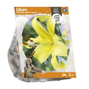 Baltus Lilium Oriental Yellow Space Lelie bloembollen per 2 stuks