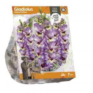 Baltus Gladiolus Funny Fiction Gladiolen bloembollen per 7 stuks