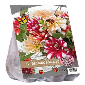 Baltus Urban Flowers Dancing Bouquet bloembollen per 3 stuks