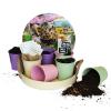 Baltus Herb Festival 7 Pastel zaden giftbox