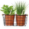 Baltus Urban Gardening Herbs zaden giftbox per 2 stuks