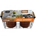 Baltus Urban Gardening Herbs zaden giftbox per 2 stuks