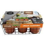 Baltus Urban Gardening Herbs zaden giftbox per 6 stuks