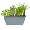 Baltus Urban growkit herbs Blue zaden giftbox