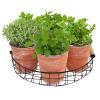 Baltus Urban Industrial Herbs zaden giftbox