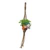 Baltus Urban Jungle Herbs Rope zaden giftbox