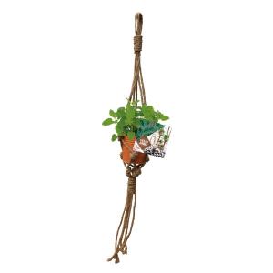 Baltus Urban Jungle Herbs Rope zaden giftbox