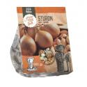 Baltus Uien Sturon 500 gram per stuks