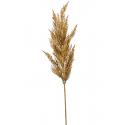 Grass Pampas Beige M 92 cm kunsttak per 1 stuks