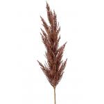 Grass Pampas Brown L 115 cm kunsttak per 1 stuks