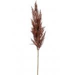 Grass Pampas Brown M 92 cm kunsttak per 1 stuks