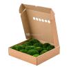 Bolmos Mosgroen 4 Windowbox 0,64 m2 gepreserveerd mos