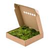 Hairmoss Bosgroen mos 4 windowbox 0,64 m2 gepreserveerd mos