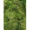 Hairmoss Bosgroen mos 4 windowbox 0,64 m2 gepreserveerd mos