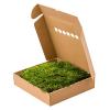 Longmoss Bosgroen mos 4 windowbox 1,32 m2 gepreserveerd mos