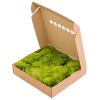 Rockmoss Lichtgroen mos 4 windowbox 1,6 m2 gepreserveerd mos