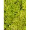 Rockmoss Lichtgroen mos 4 windowbox 1,6 m2 gepreserveerd mos