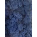 Rendiermos Koningsblauw 6 windowbox 0,45 m2 gepreserveerd mos