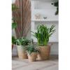 Pot Hayden Swirl Plantenmand L 25x24 cm naturel