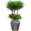 Lechuza Classico LS Anthracite M 35x33 cm ronde antraciete bloempot