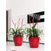 Lechuza Classico LS Red L 43x40 cm ronde rode bloempot